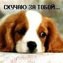 Діана Добровольська фотография #25 (источник - https://vk.com/id140238060)