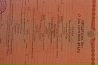 Гена Синило фотография #38 (источник - https://vk.com/id44843113)