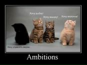 Софія Теслюк фотография #49 (источник - https://vk.com/id16916155)