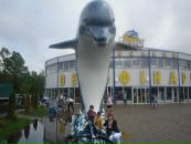 Наталія Бабич фотография #29 (источник - https://vk.com/id144578031)