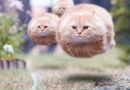 Фотография Вурхис Евгении