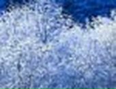 Софія Лицур фотография #11 (источник - https://vk.com/id39724621)