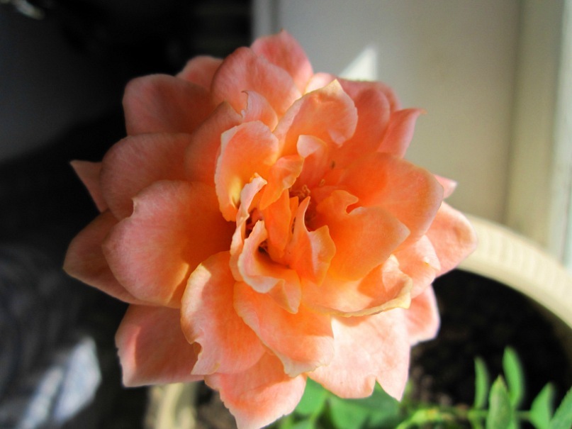 Ольга Гребенникова фотография #37