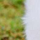 Леся Андреєва фотография #23 (источник - https://vk.com/id142723263)