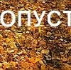 Ірина Кирилюк(синицька) фотография #2 (источник - https://vk.com/id138889467)