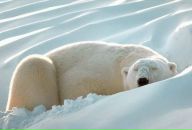 Фотография Исаченко Андрея