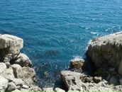 Олександр Ільенко фотография #4 (источник - https://vk.com/id33452156)