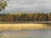 Фотография Ивлиевой Елены