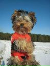 Стася Миронова фотография #8 (источник - https://vk.com/id170773824)