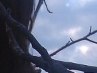 Діанка Селебинка фотография #23 (источник - https://vk.com/id132262759)