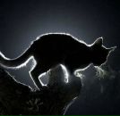 Фотография Селезеневой Виктории