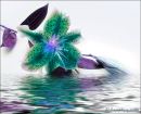 Лилия Κрасильникова фотография #1