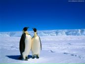 Віка Богатюк фотография #3 (источник - https://vk.com/id77462187)