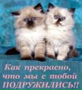 Софія Муравель фотография #29 (источник - https://vk.com/id155560830)
