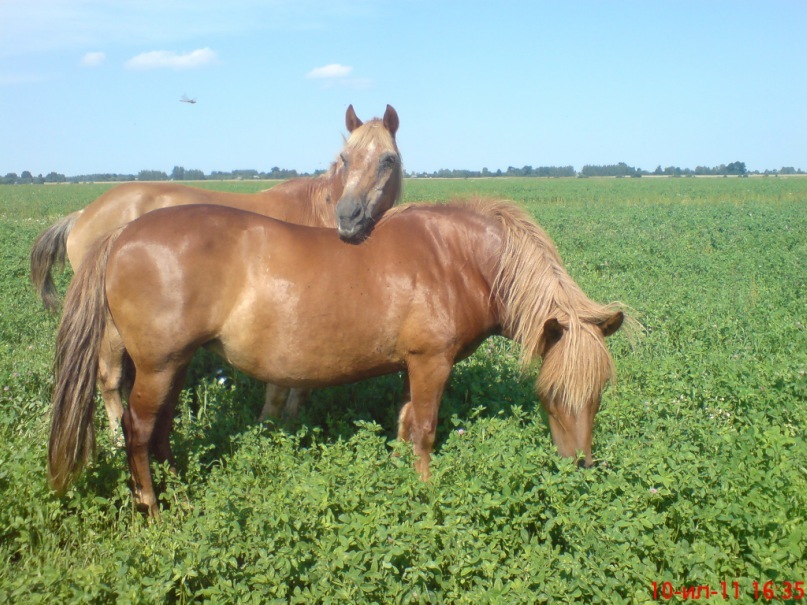 Дмитрий Цапук фотография #5