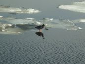 Сергей Кондратьев фотография #5 (источник - https://vk.com/id12372225)