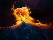 Фотография Сорокина Олега