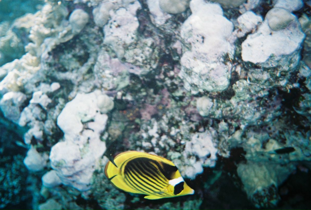 Александр Кадыкеев фотография #37