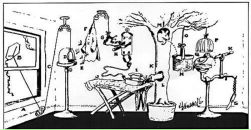 Марк Грин фотография #33 (источник - https://vk.com/id58466121)