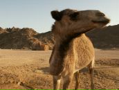 Фотография Дегтяревой Франгизы