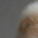 Надя Бабійчук фотография #26 (источник - https://vk.com/id147804112)