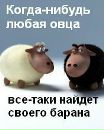 Віктор Михальчук фотография #5 (источник - https://vk.com/id131444205)