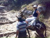 Фотография Дороговой Елены