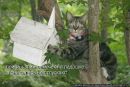 Світлана Блашко фотография #37 (источник - https://vk.com/id50099462)