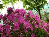 Alexey Dushen фотография #33 (источник - https://vk.com/id670180)