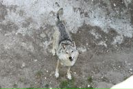 Таня Ліщук фотография #25 (источник - https://vk.com/id22416115)