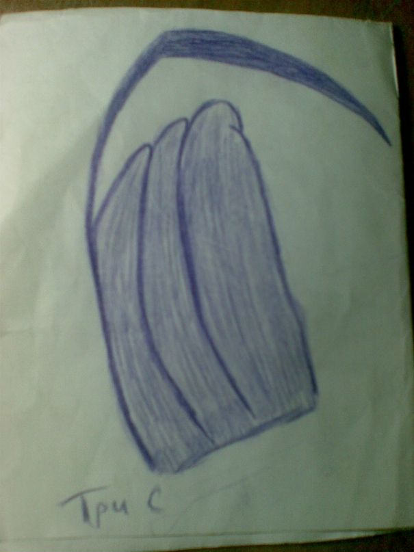 Алан Рамонов фотография #45