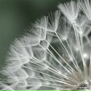 Фотография Беловой Иры