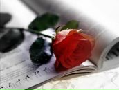 Віта Панащук фотография #1