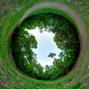 Фотография Топоркова Ярослава