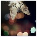 Фотография Клюевой Елены