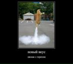 Миша Лысенко фотография #49 (источник - https://vk.com/id12325771)