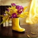 Марія Петрина фотография #11 (источник - https://vk.com/id131727323)