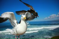 Фотография Барановой Ольги