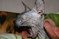 Фотография Макукева Дена