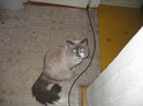 Фотография Корнеевой Ирины