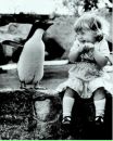 Соломія Сапіщук фотография #8 (источник - https://vk.com/id108251539)