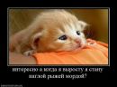 Фотография Ченчик Ксении
