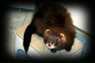 Фотография Simako Kristina