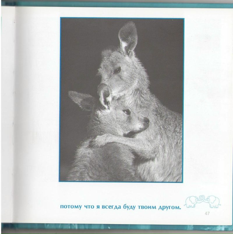 Роман Сербененко фотография #14