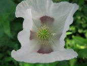 Павло Балтаєв фотография #42 (источник - https://vk.com/id5781749)