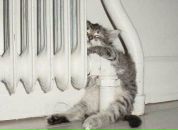 Фотография Гордеевой Марии