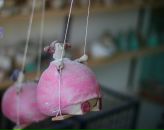 Фотография Голиковой Ольги