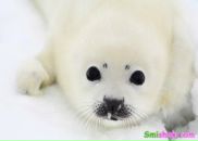 Каріна Бекалюк фотография #44 (источник - https://vk.com/id81455452)