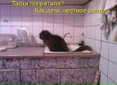 Александр Горбатенко фотография #45 (источник - https://vk.com/id204495469)