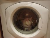 Дмитрий Вдовин фотография #3 (источник - https://vk.com/id636001)